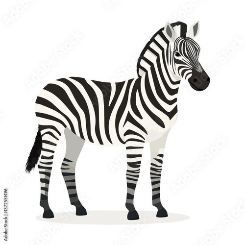 Flat vector zebra, minimalist design, isolated on a white background.

