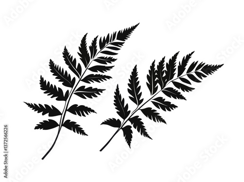 vector silhouettes of leaves