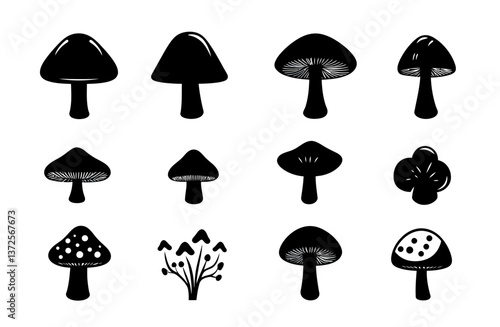 set of mushrooms