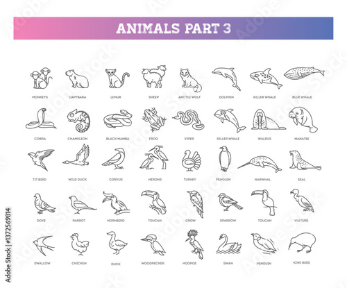 Photography Animal icons. Vector icon set