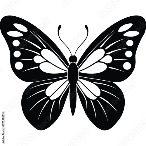 butterfly vector illustration