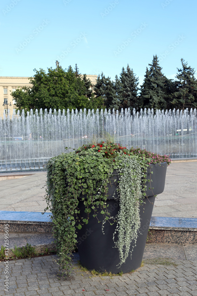 Φωτογραφία use of hanging ornamental plants for landscaping of city squares