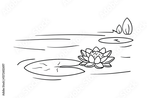 Water Lily Pond Simple Line Drawing, Aquatic Plant, Nature Illustration