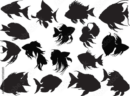 fishes sixteen silhouettes collection isolated on white