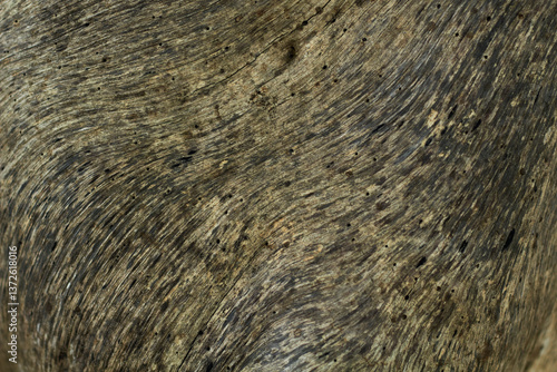 Waving trunk pattern