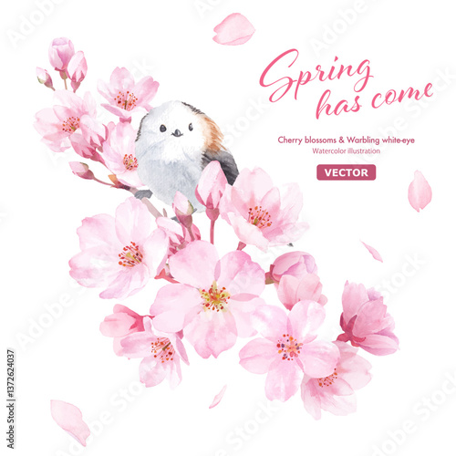 春の花：桜の花と小鳥（エナガ）の水彩イラスト。クローズアップ。クリップアート（ベクター。花と鳥の位置調整可能）