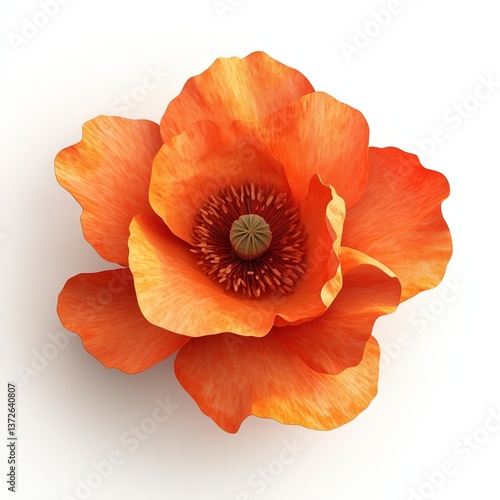 Wallpaper Mural Vibrant orange poppy flower with delicate petals showcasing intricate details and a striking center, perfect for nature lovers and floral enthusiasts, floral design concept Torontodigital.ca
