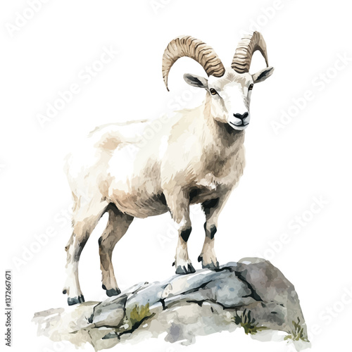 A watercolor vector of a mountain goat, isolated on a white background. Mountain goat vector.

