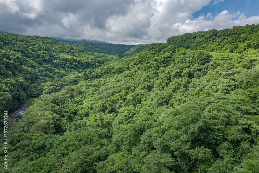 Obraz premium 八ヶ岳高原大橋から観る川俣川渓谷の風景 