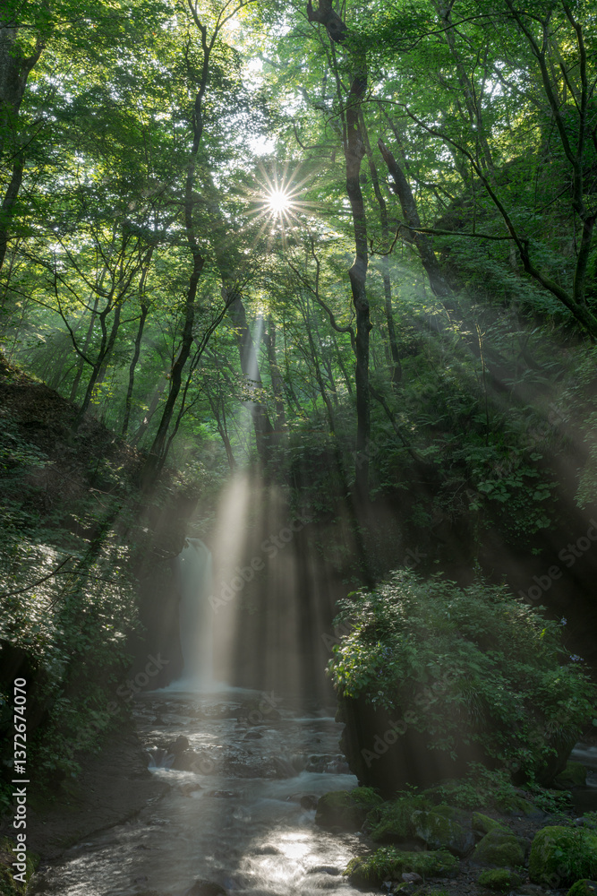 Obraz premium 軽井沢の竜返しの滝と光芒 