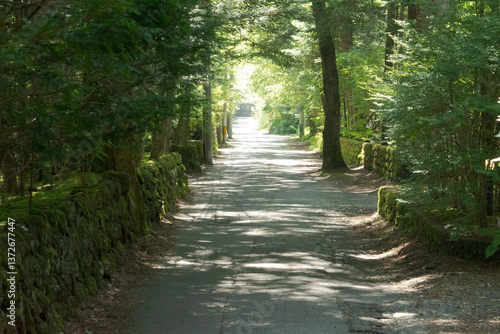 軽井沢の朝の風景
