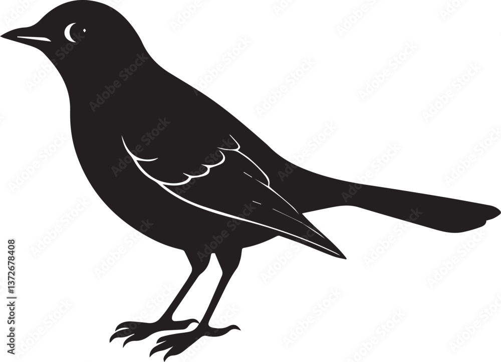 vector illustration of a bird, bird vector isolated on white background full body vector illustration of a bird, bird vector isolated on white background full body