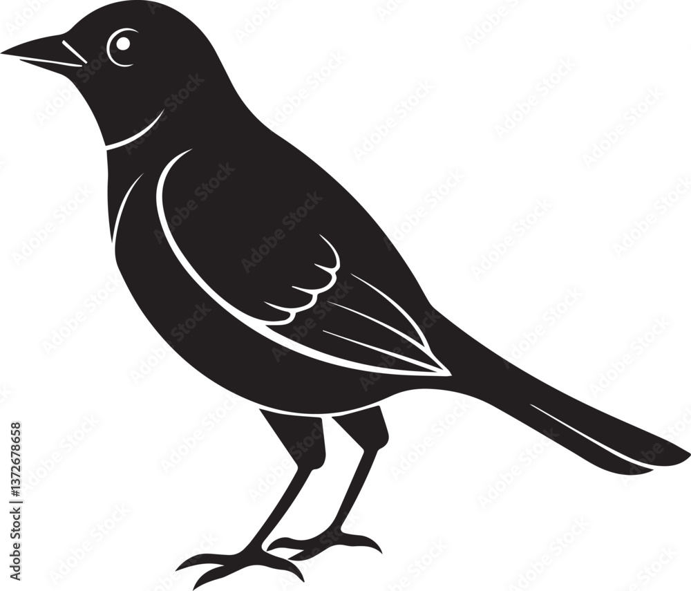 Obraz premium vector illustration of a bird, bird vector isolated on white background full body