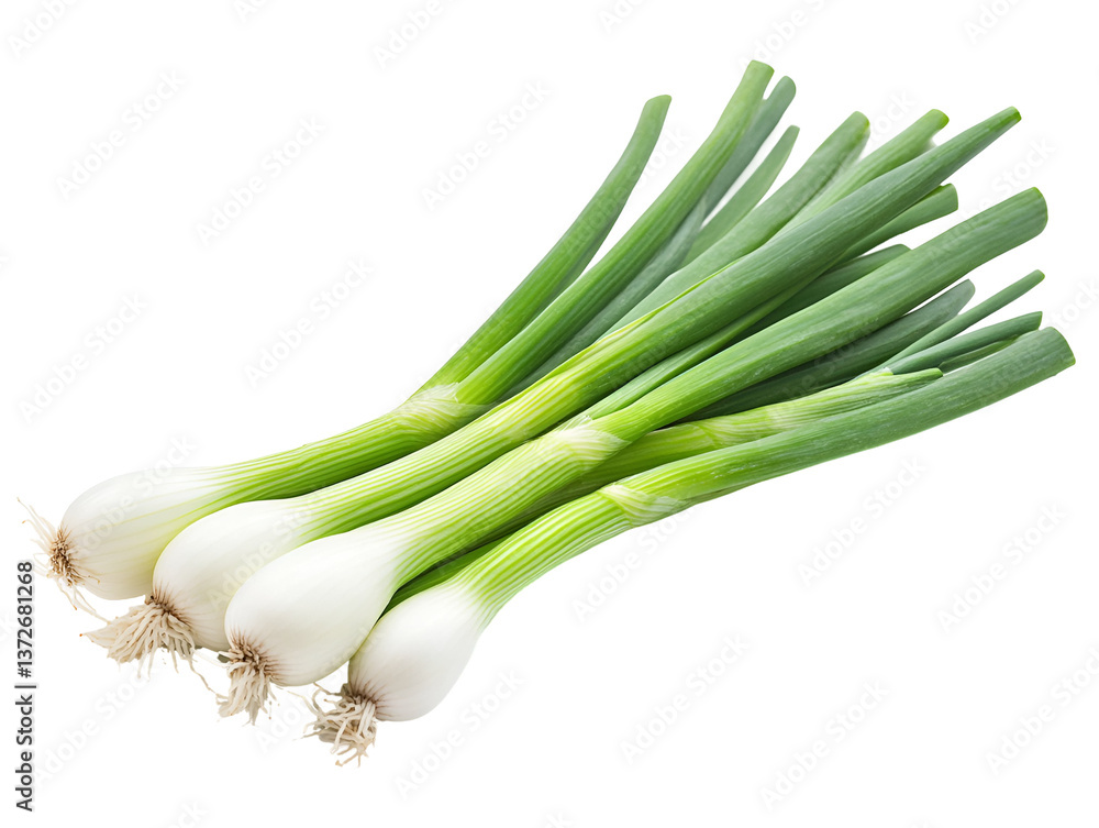 Crisp Fresh Green Onion on Isolated White Background Crisp Fresh Green Onion on Isolated White Background