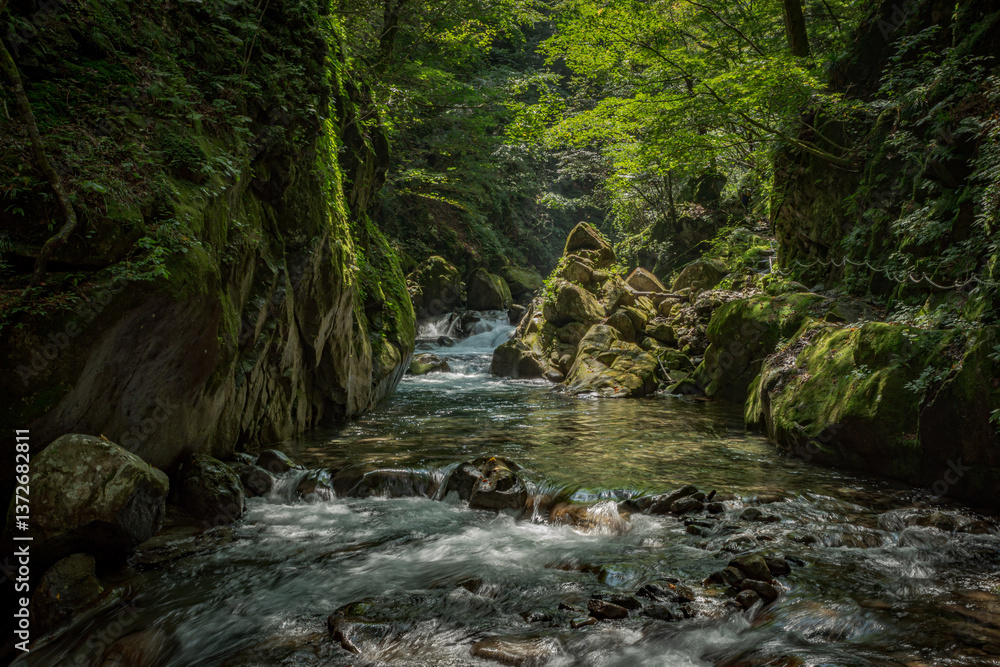 西沢渓谷の夏の景色
西沢渓谷の夏の景色