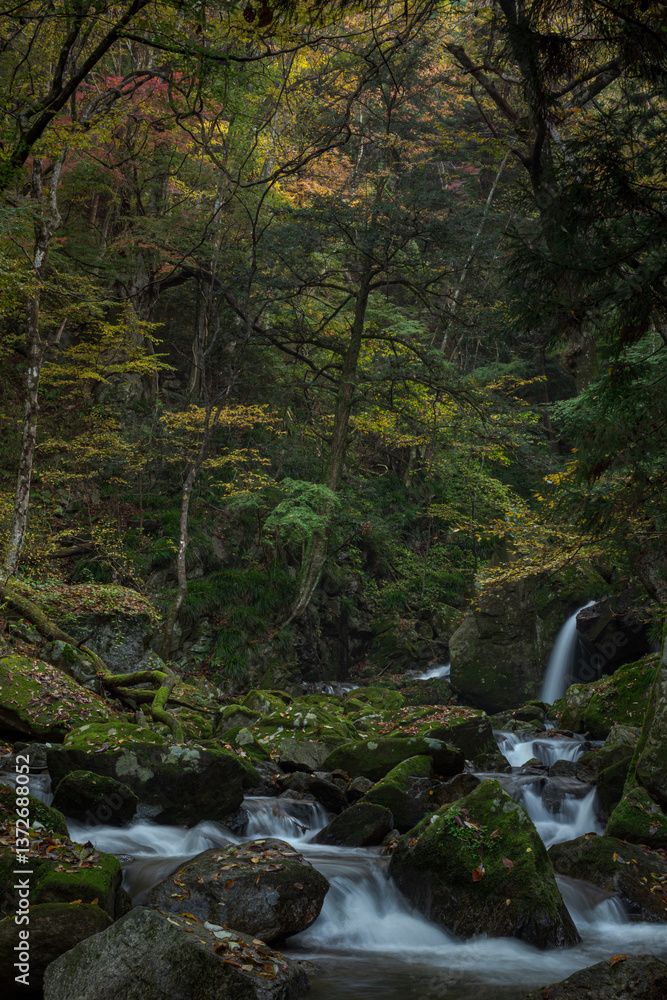 滝沢渓谷の風景
滝沢渓谷の風景
