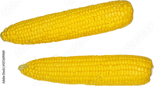 Wallpaper Mural corn isolated on white background Torontodigital.ca