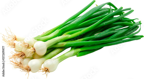 Wallpaper Mural fresh green onion isolated on white background Torontodigital.ca