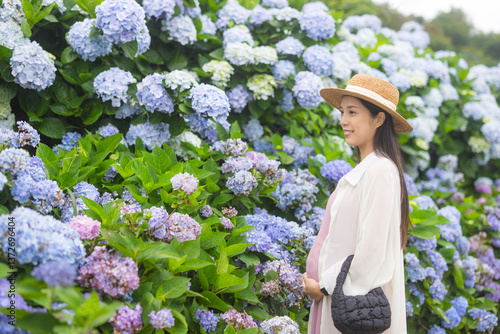 Obraz na płótnie Pregnant woman enjoys beautiful hydrangea flower garden w salonie