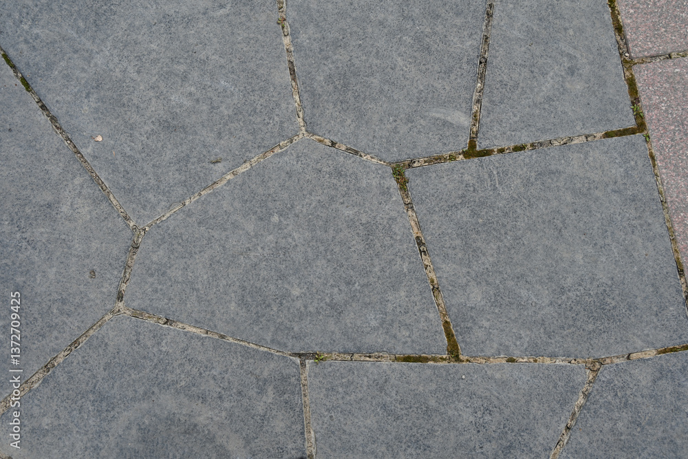 Obraz premium beautiful texture and beautiful background