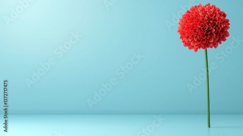 Vibrant Red Flower on Soft Blue Background for Minimalist Design