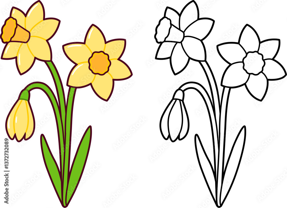 Fototapeta premium Daffodil flowers bouquet, cute simple springtime drawing. Black and while line art and color image. Cartoon vector illustration.