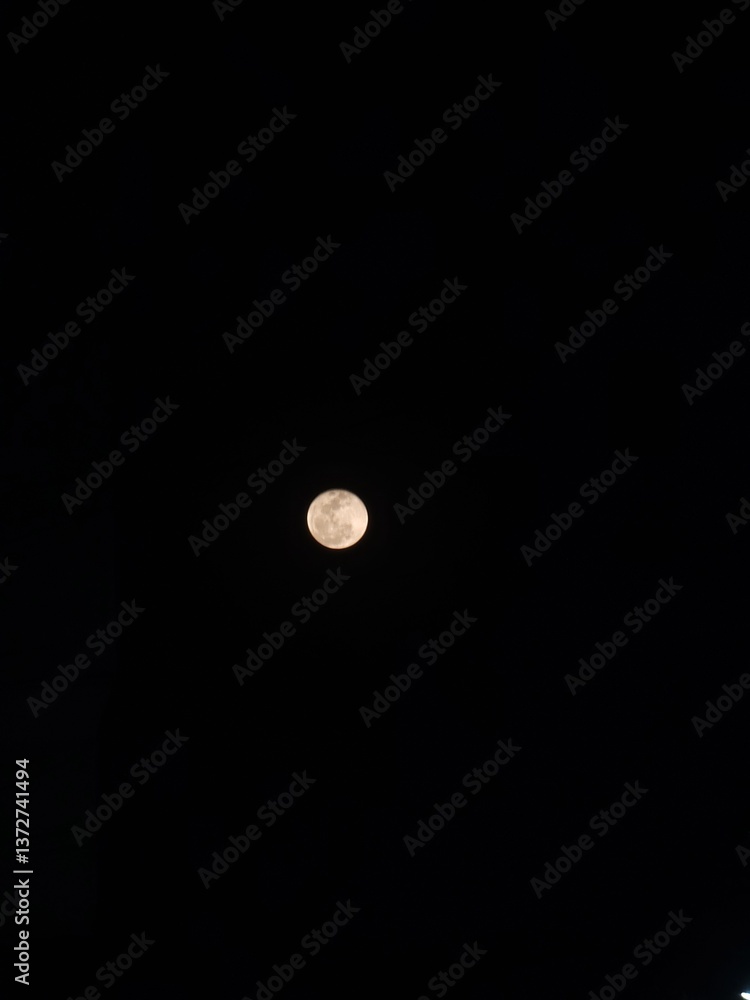 Full Moon in the Night Sky Full Moon in the Night Sky