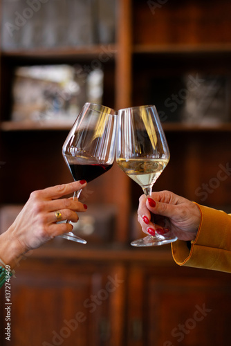 Two women clink glasses of red and white wine in a cozy setting. A perfect moment for a romantic aperitif or a friendly get-together.
