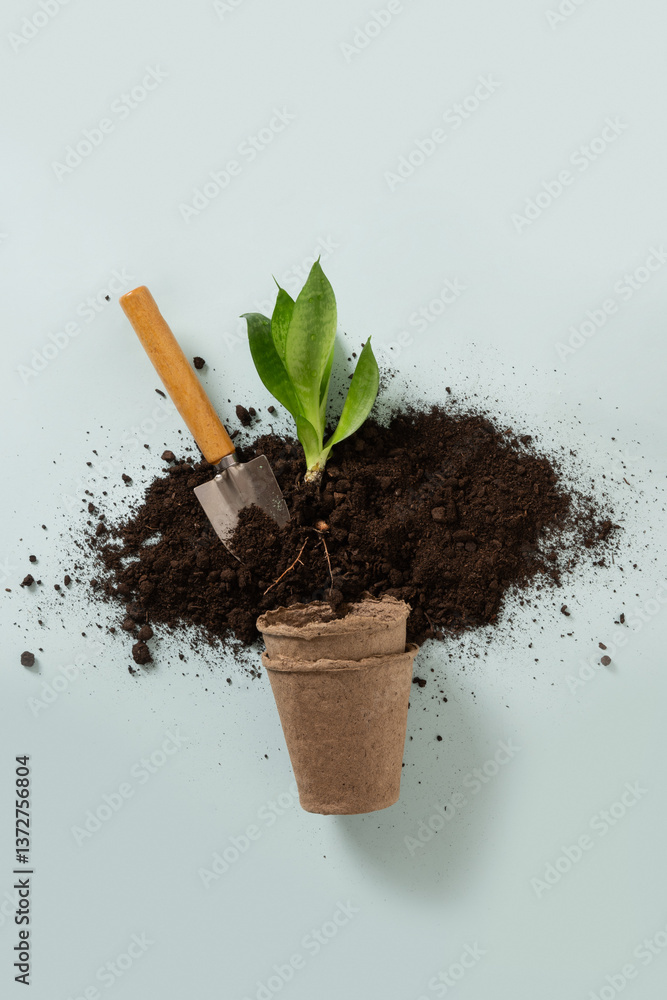 Various gardening hand tools, flower and soil on blue background. Spring gardening. Concept season planting, work and hobby. Top view.