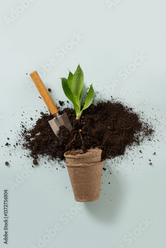 Obraz na płótnie Various gardening hand tools, flower and soil on blue background. Spring gardening. Concept season planting, work and hobby. Top view. w salonie