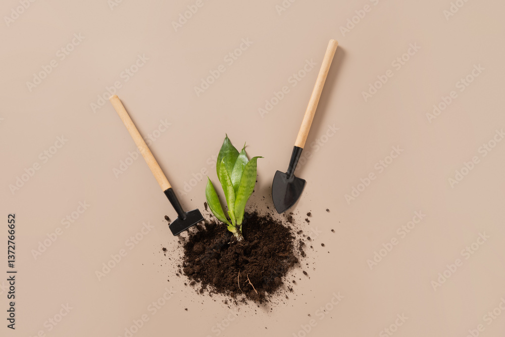 Concept season work and hobby. Various hand tools, plant and soil on beige background. Spring gardening. Copy space. Top view.