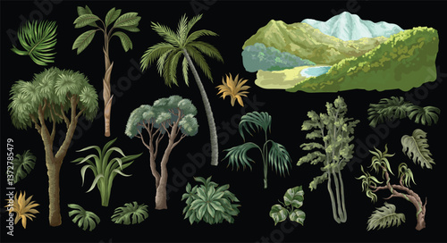 Jungle trees and leaves isolated. Vector