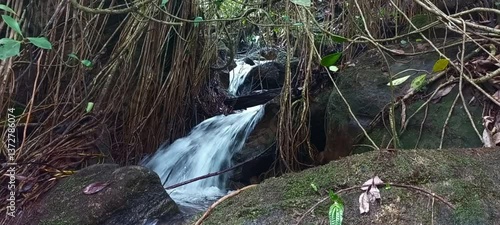 Cascading of freshwater steam, waterfall in tropical landscape and natural ecosystem in Sri Lanka