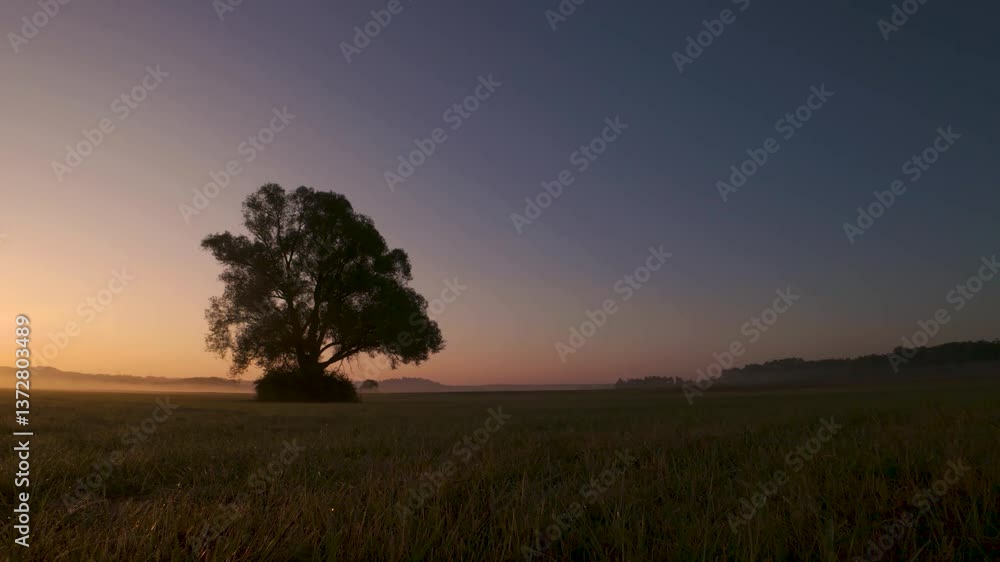 Sunrise timelapse, foggy grass field with one single tree in silhouette
Sunrise timelapse, foggy grass field with one single tree in silhouette