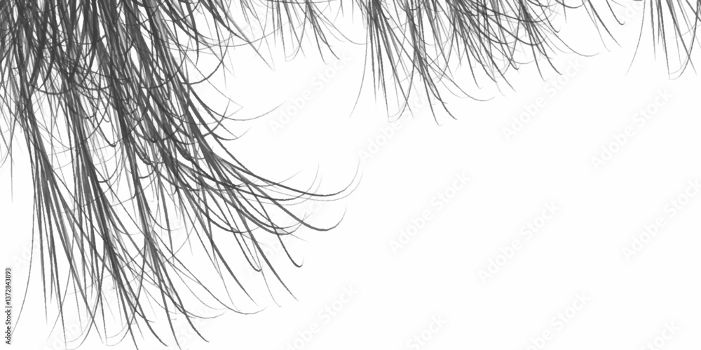 Obraz premium Black Minimalistic branch with leaves isolated on a white background, close up. Minimalist background macro of dandelion seeds. Outline summer landscape with grassy scribble doodles.