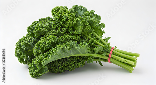 Fresh organic curly kale bunch held together with a pink rubber band isolated