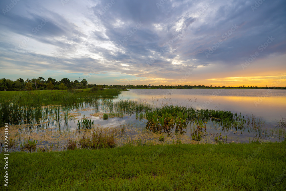 Fototapeta premium Evening landscape of Florida wetland flora. Lake water in southern tropical swamp at sunset