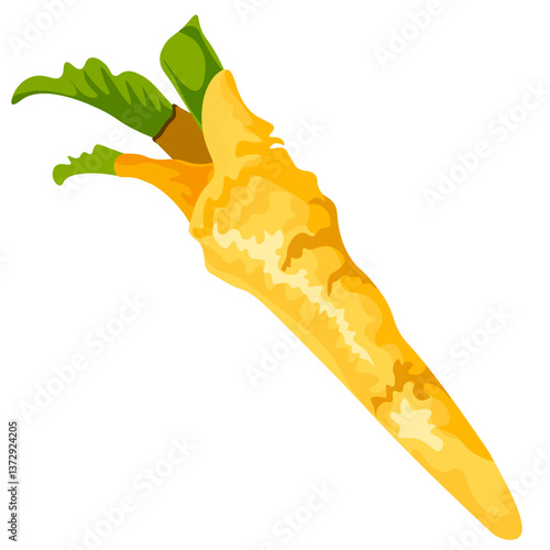 root spices and seasonings vector no background