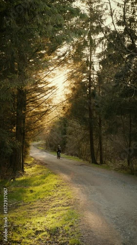 Rear view of a person cycling on a forest path during golden hour. Warm sunlight shines through tall trees, creating a peaceful and cinematic nature scene. Ideal for themes of freedom, solitude, activ