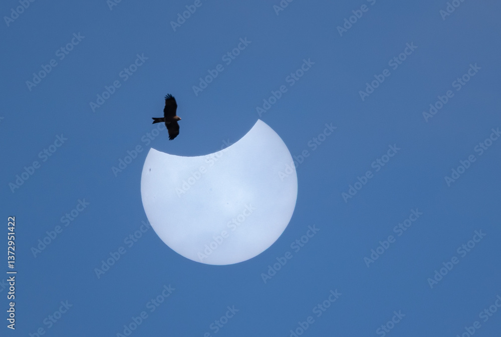 Partial solar eclipse in Galicia, Spain