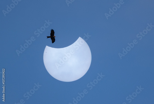 Obraz na płótnie Partial solar eclipse in Galicia, Spain w salonie