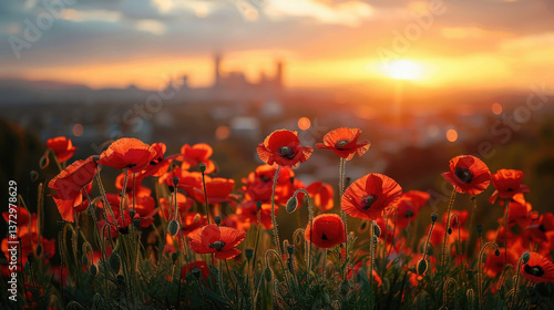 Obraz na płótnie red poppies with Sydney in the background, Anzac Day, poppy field, National Day of Remembrance, memory, First World War, April 25, Australian holiday w salonie
