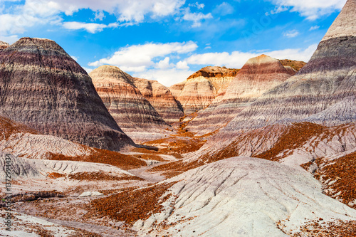 Petrified forest National Park, located in Arizona, is best known for Painted Desert and fossils.