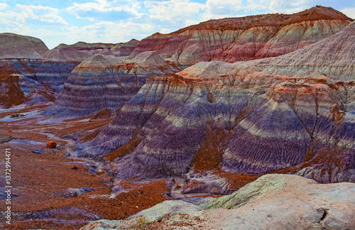 Petrified forest National Park, located in Arizona, is best known for Painted Desert and fossils.