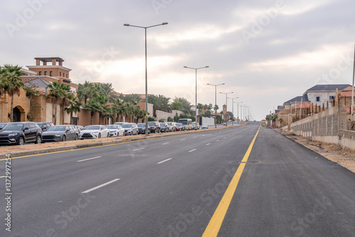 Paved road in Riyadh, Saudi Arabia, lined with palm trees and modern buildings, with cars parked neatly along the roadside.
