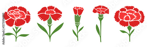 Set of red carnations illustration isolated on white background. Vector illustration