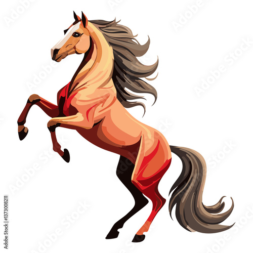 Arabian horse standing on hind legs on white background.