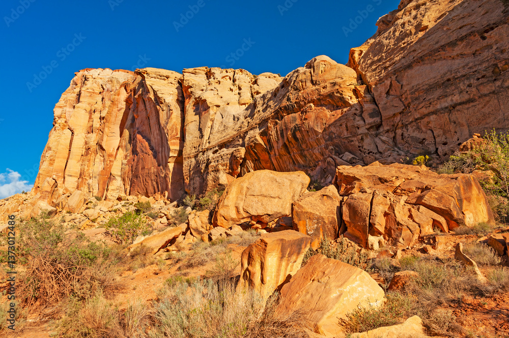Fototapeta premium Capitol Reef National Park, national park of the United States in south-central Utah.