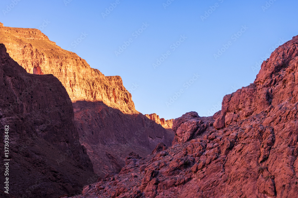 Fototapeta premium A New Day Among Giants