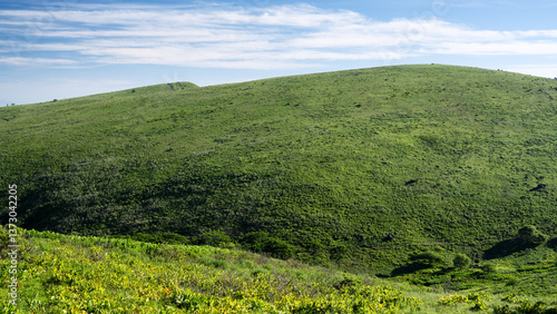 Wallpaper Mural 長野県諏訪市　夏の車山高原 Torontodigital.ca